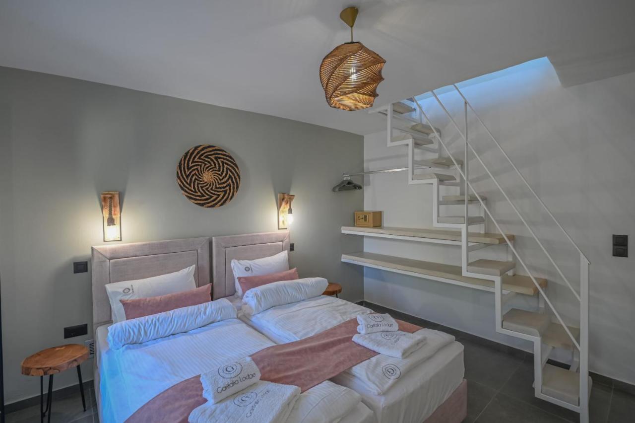 חאניה Villa Garifalia With Sauna & Hydromassage מראה חיצוני תמונה